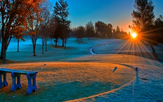 Картинка frosty sunrise, солнце, трава, восход, поле, мороз