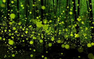 Картинка абстрактные, зеленые