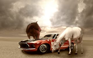 Картинка mustangs, машины, лошади