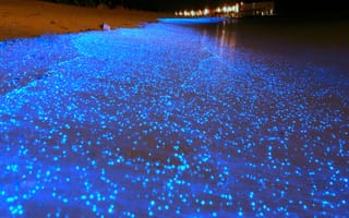 Картинка maldive, sea of stars, вода, море, звезды, пляж, океан, светящиеся, остров