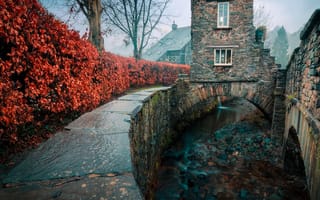 Картинка природа, пейзаж