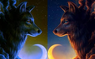 Картинка wolf wall 7, луна, волк, стена