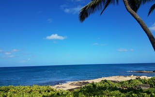 Картинка i miss hawaii, пляж, дерево, рай, остров, скучать, пальмы, гавайи