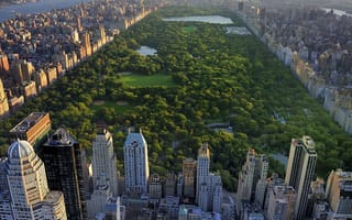 Картинка central, ny, новый, деревья, вид, здания, парк, нью йорк