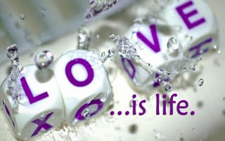 Картинка cute love, ice cubes, icy love, love is life, love theme, любовь, милые, поговорка, жизнь, тема, лед, кубы