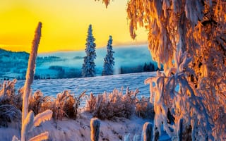 Картинка winter landscape, пейзаж, зима