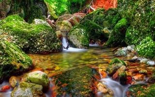 Картинка вода, лес, осень, ручей