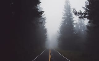 Картинка haze, природа, дорога, лес, туман