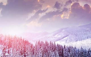 Картинка pleasure nature, природа, небо, пейзаж, зима, снег, лес, деревья, горы