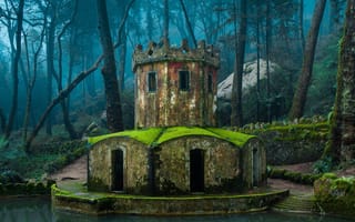 Картинка hideaway, дерево, лес, дом, скрытый