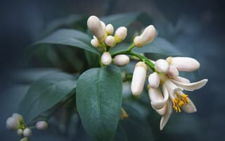 Картинка природа, пейзаж