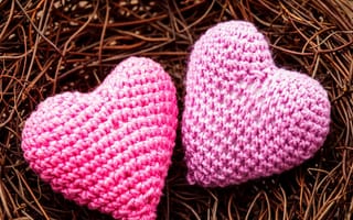 Картинка love, nest, любовь, сердце, теплые