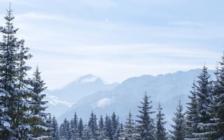 Картинка tatry, winter landscape, polish mountains, пейзаж, зима, горы