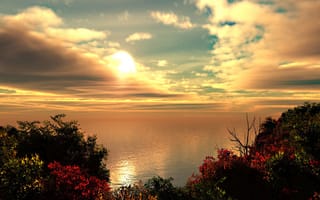 Картинка природа, прекрасные