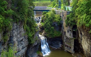 Картинка dam, вода, лес, мост, водопад
