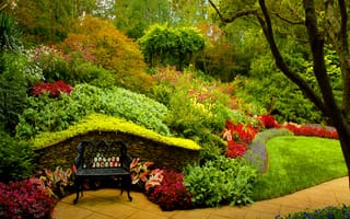 Картинка сад, секрет