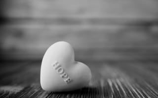 Картинка white heart hope, hope heart, сердце, белые, надежда