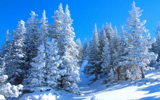 Картинка природа, пейзаж, зима, снег
