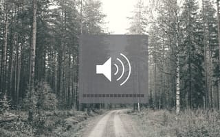 Картинка volume, лес