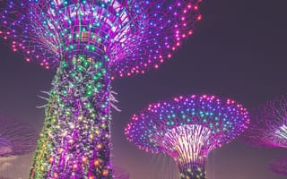 Картинка singapore, синие, розовые, зеленые, фиолетовые, желтые, огни
