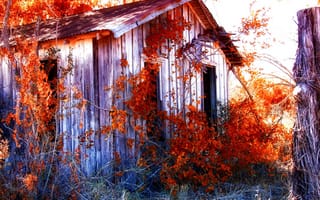 Картинка gr, yd, shack