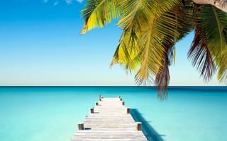 Картинка природа, небо, море, лето, тропические, рай, пальмы