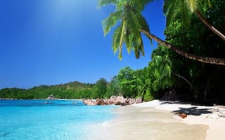 Картинка море, пляж, солнце