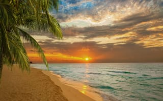 Картинка sunset beach, закат, пляж