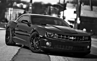Картинка chevrolet camaro, черные, камаро, шевроле