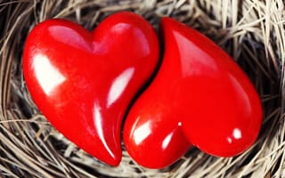 Картинка love, nest, loving hearts, любовь, сердце, любящий