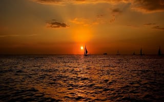 Картинка природа, солнце, сияние, солнечный свет