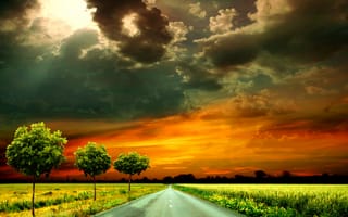 Картинка nature night, road trees clouds sky, night road, природа, небо, ночь, дорога, облака, деревья, поле