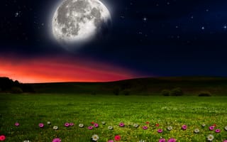 Картинка love, moon night, любовь, абстрактные, природа, ночь, пейзаж, луна, вид