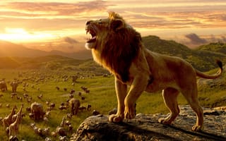 Картинка disney, simba, дисней, лев, король