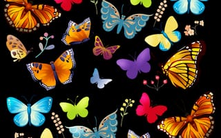 Картинка sweet butterfly 16, абстрактные, бабочки, милые
