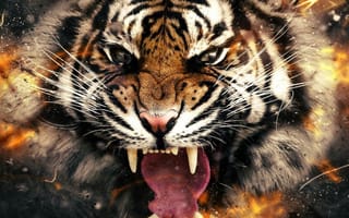 Картинка explode tiger, животные, кошки, огонь, тигр, взрыв