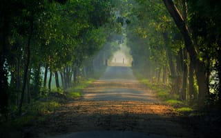 Картинка bengal, carzon, ontordrishti, природа, прекрасные, бангладеш