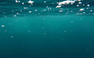 Картинка природа, море, подводные