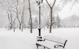 Картинка park trees, snow winter, winter park, пейзаж, зима, снег, деревья, парк, скамейка