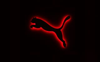 Картинка puma, логотипы, пума