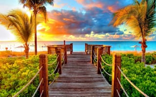 Картинка природа, море, закат, пляж, океан, пальмы