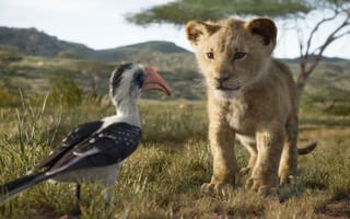 Картинка simba, the lion king simba, лев, король