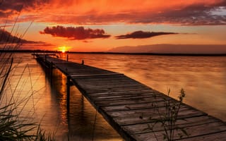 Картинка природа