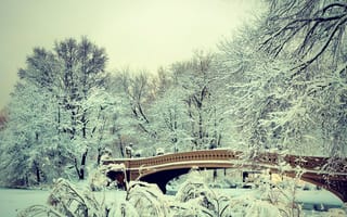 Картинка central park, природа, новый, пейзаж, зима, снег, парк, манхэттен