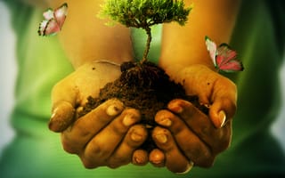 Картинка hands of earth, природа, дерево, земля, руки