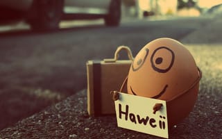 Картинка haweii, lift