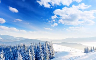 Картинка light snow, nature winter, white, winterland, природа, белые, зима, снег, свет
