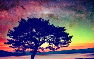 Картинка абстрактные, природа, закат, дерево, поле