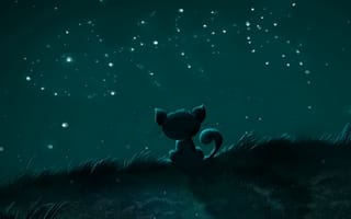 Картинка cat with stars, ночь, звезды, кошки, рыба
