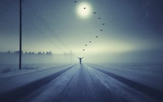 Картинка escape, away with birds, ночь, зима, снег, одиночество, птицы, туман, далеко, бег, поездка